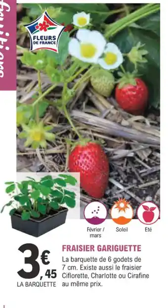 E.Leclerc Jardi FRAISIER GARIGUETTE offre