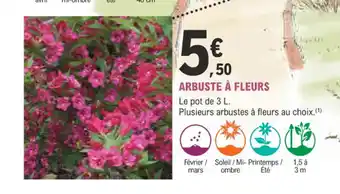 E.Leclerc Jardi ARBUSTE À FLEURS offre