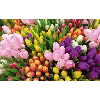 Auchan Bouquet De 7 Tulipes offre