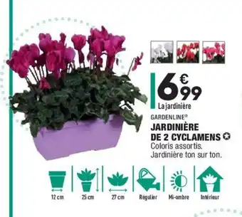 ALDI Jardinière De 2 Cyclamens offre