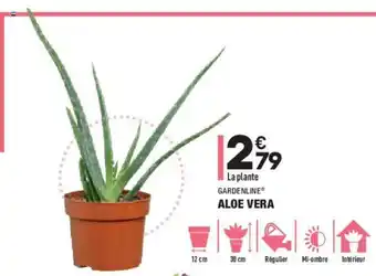 ALDI Aloe Vera offre