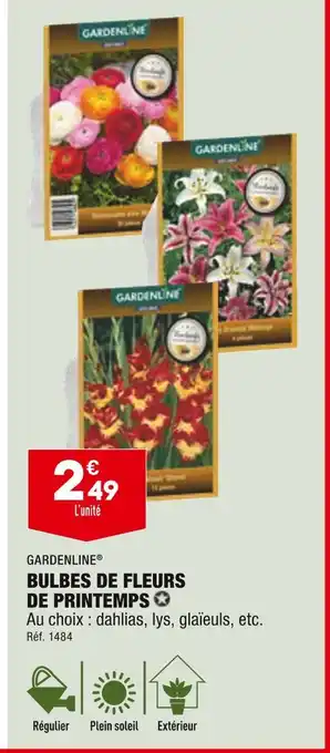 ALDI GARDENLINE BULBES DE FLEURS DE PRINTEMPS offre