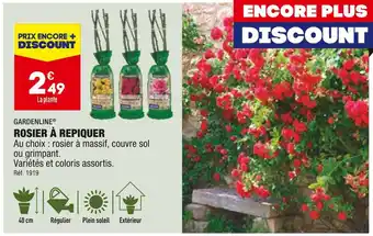 ALDI GARDENLINE ROSIER À REPIQUER offre