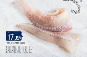 Match FILET DE LINGUE BLEUE offre