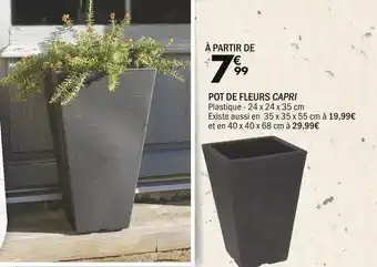La Foir'Fouille POT DE FLEURS CAPRI offre