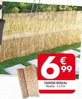 La Foir'Fouille CANISSE ROSEAU offre