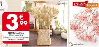 La Foir'Fouille FLEURS SÉCHÉES offre