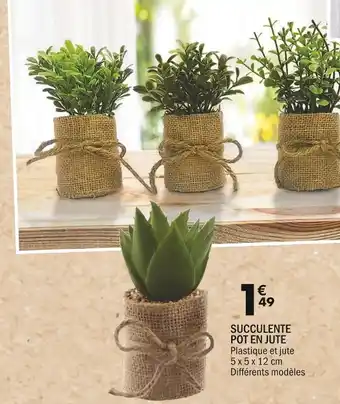 La Foir'Fouille SUCCULENTE POT EN JUTE offre