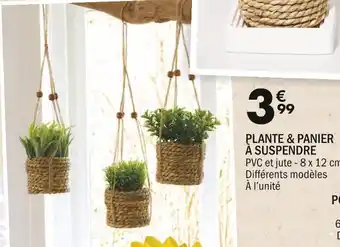 PLANTE & PANIER Ă SUSPENDRE