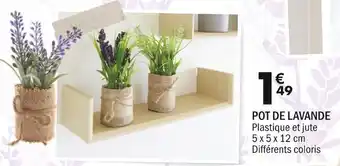 La Foir'Fouille POT DE LAVANDE offre