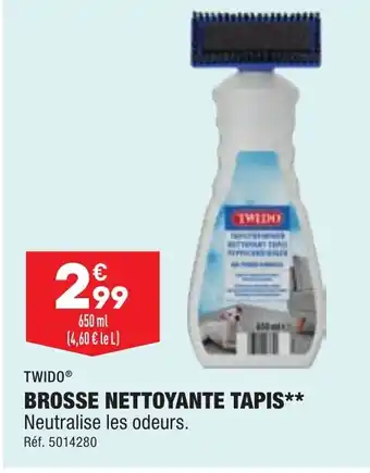 ALDI BROSSE NETTOYANTE TAPIS offre