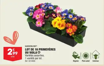 ALDI LOT DE 10 PRIMEVÈRES OU VIOLA Variétés assorties. 1 variété par lot. offre