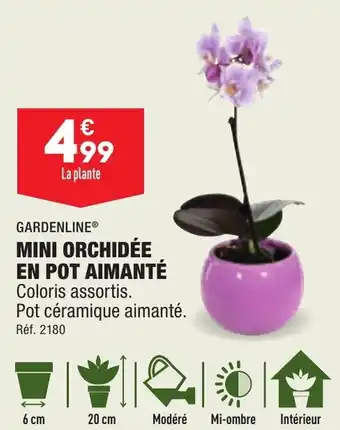 ALDI MINI ORCHIDÉE EN POT AIMANTÉ Coloris assortis. Pot céramique aimanté. offre