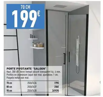 Brico Cash PORTE PIVOTANTE "SALOON" offre