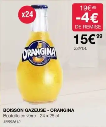 Costco BOISSON GAZEUSE - ORANGINA Bouteille en verre - 24 x 25 cl offre