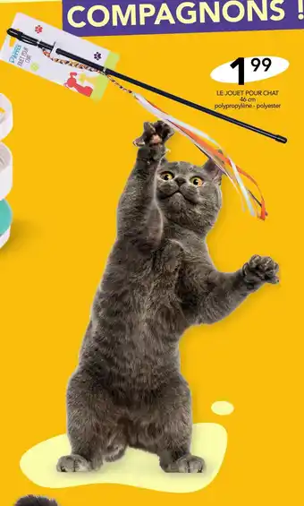 Stokomani À toutes PATTES LE JOUET POUR CHAT offre