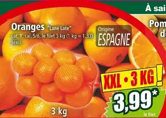 Norma Oranges ”Lane Late” offre