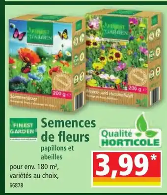 Norma FINEST Semences de fleurs offre