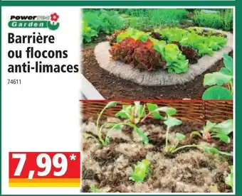Barrière ou flocons anti-limaces