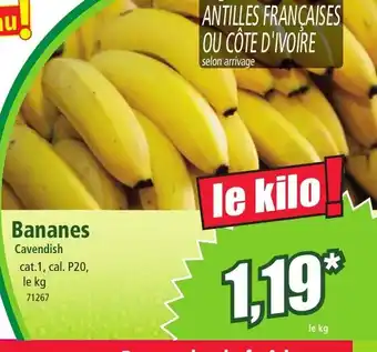 Norma Bananes offre