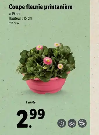 Lidl Coupe fleurie printanière offre