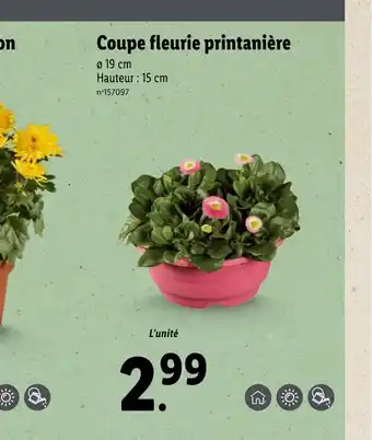 Lidl Coupe fleurie printanière offre