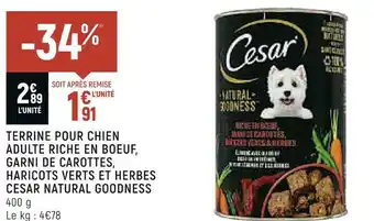 Cesar terrine pour chien adulte riche en boeuf, garni de carottes, haricots verts et herbes natural goodness