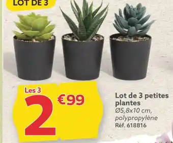 Gifi Lot de 3 petites plantes offre
