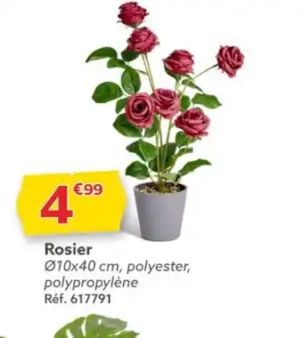 Rosier