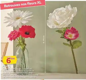 Gifi Fleur XL offre