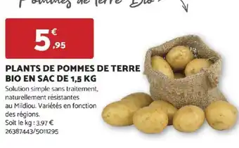 Bricomarché PLANTS DE POMMES DE TERRE offre