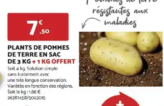 Bricomarché PLANTS DE POMMES DE TERRE EN SAC offre