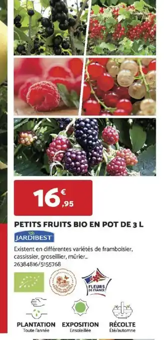 Bricomarché PETITS FRUITS BIO EN POT DE 3 L offre