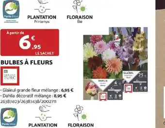 Bricomarché BULBES À FLEURS offre