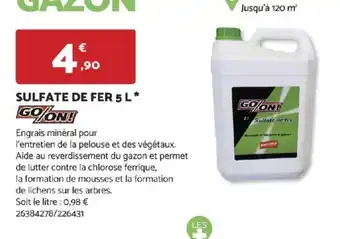 Bricomarché SULFATE DE FER 5 L offre