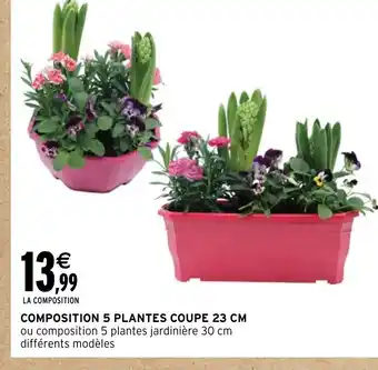 Intermarché Hyper COMPOSITION 5 PLANTES COUPE 23 CM offre