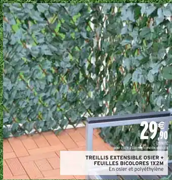 Intermarché TREILLIS EXTENSIBLE OSIER + FEUILLES BICOLORES 1X2M offre