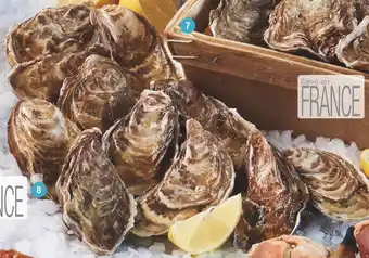 Huîtres spéciales Marennes Oléron n°2
