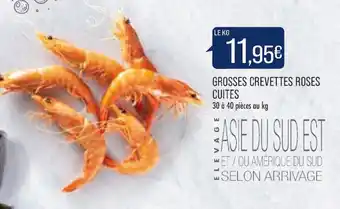 Grosses crevettes roses cuites