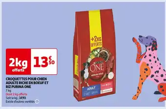 Auchan Supermarché PURINA ONE CROQUETTES POUR CHIEN ADULTE RICHE EN BOEUF ET RIZ offre