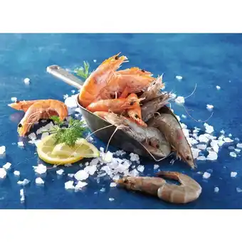 Gambas EntiÚres Cuites Réfrigérées Ou Crues Décongelées
