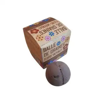 Auchan 2 Livres De Jardin Marabout Achetés* = 1 Balle De Graines Offerte ! offre