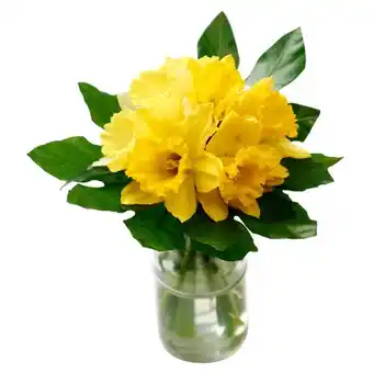 Auchan Bouquet De 20 Jonquilles offre
