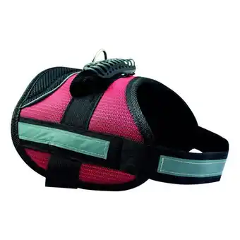 Auchan Harnais Olex Taille L Riga offre