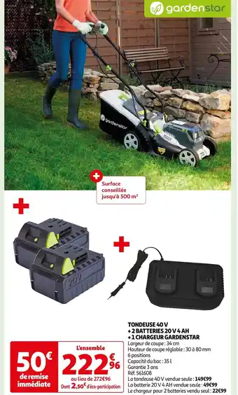 GARDENSTAR TONDEUSE 40 V + 2 BATTERIES 20 V 4 AH + 1 CHARGEUR