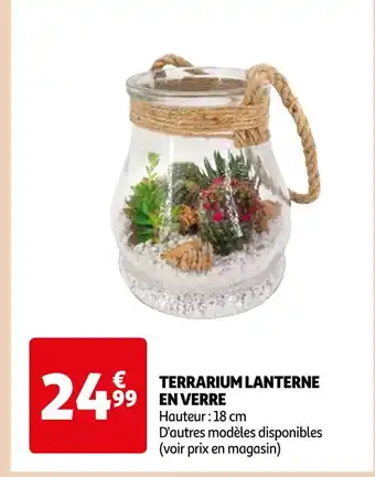 Auchan Supermarché TERRARIUM LANTERNE EN VERRE offre