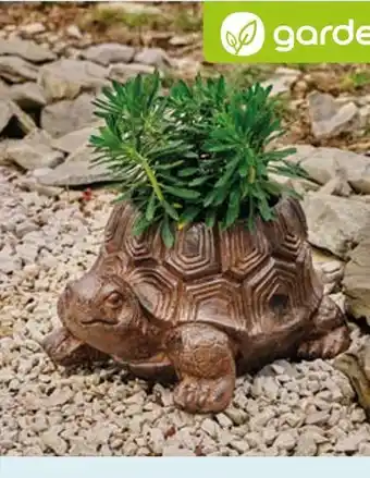 GARDENSTAR CACHE-POT TORTUE
