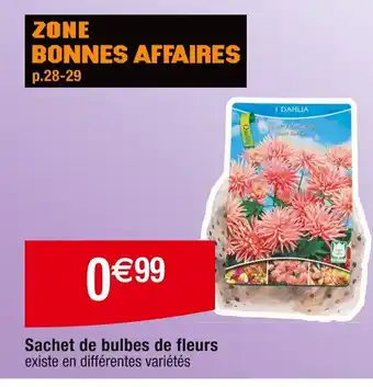Cora x Carrefour Sachet de bulbes de fleurs offre