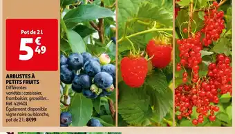 Auchan ARBUSTES À PETITS FRUITS offre