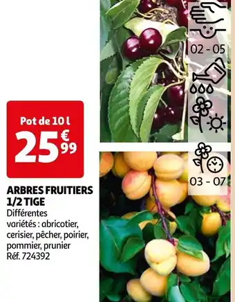 Auchan ARBRES FRUITIERS offre